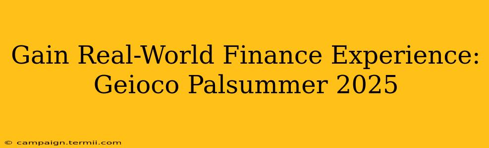 Gain Real-World Finance Experience: Geioco Palsummer 2025