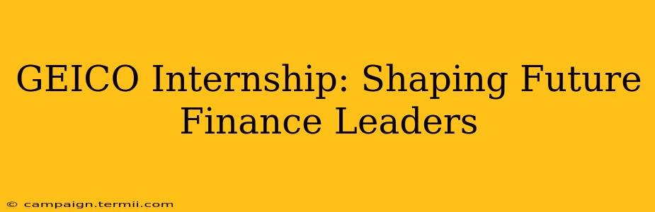 GEICO Internship: Shaping Future Finance Leaders