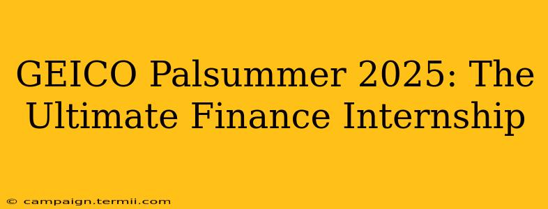 GEICO Palsummer 2025: The Ultimate Finance Internship