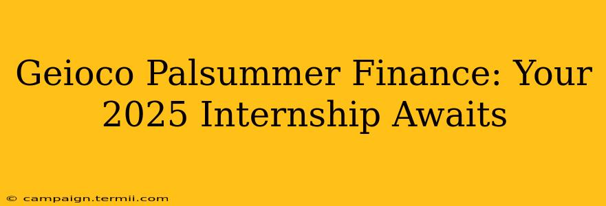 Geioco Palsummer Finance: Your 2025 Internship Awaits