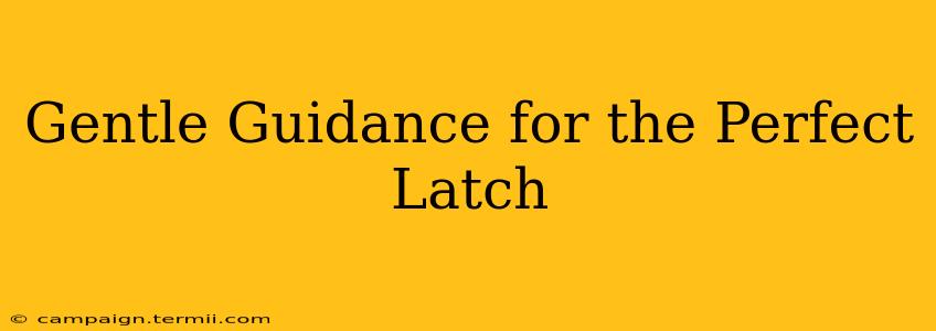 Gentle Guidance for the Perfect Latch