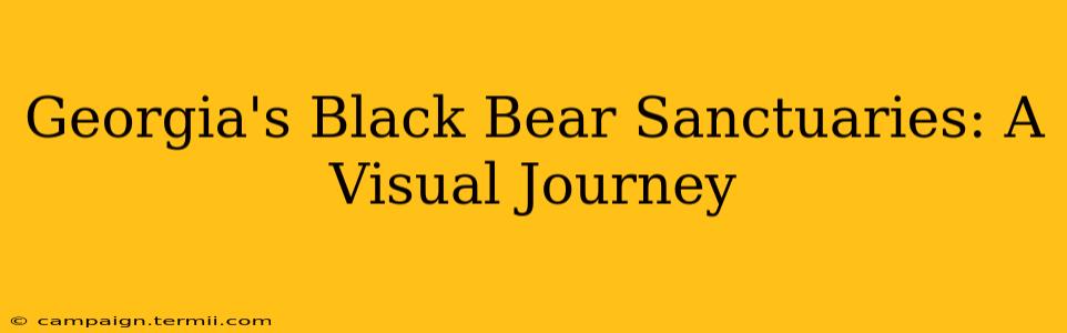 Georgia's Black Bear Sanctuaries: A Visual Journey