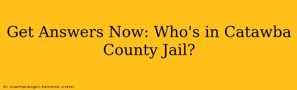 Get Answers Now: Who's in Catawba County Jail?