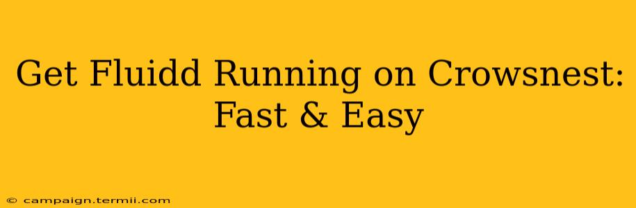 Get Fluidd Running on Crowsnest: Fast & Easy