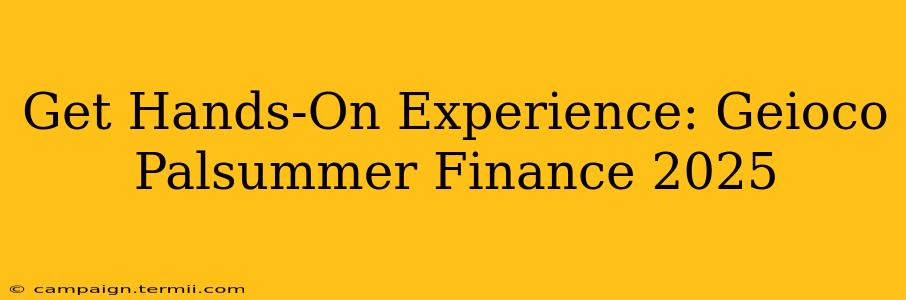 Get Hands-On Experience: Geioco Palsummer Finance 2025