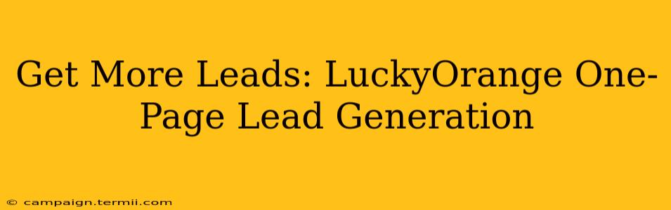 Get More Leads: LuckyOrange One-Page Lead Generation