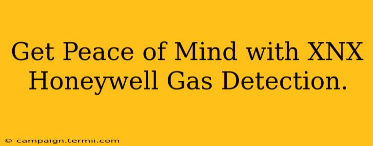 Get Peace of Mind with XNX Honeywell Gas Detection.