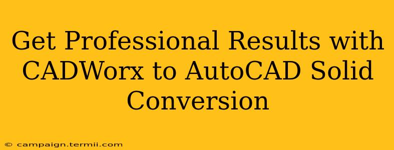 Get Professional Results with CADWorx to AutoCAD Solid Conversion