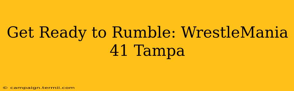 Get Ready to Rumble: WrestleMania 41 Tampa