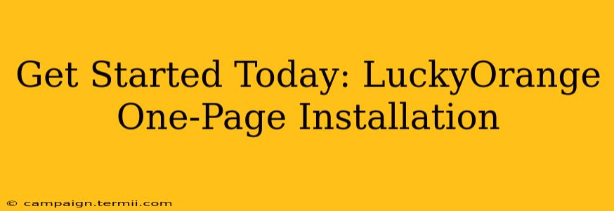 Get Started Today: LuckyOrange One-Page Installation