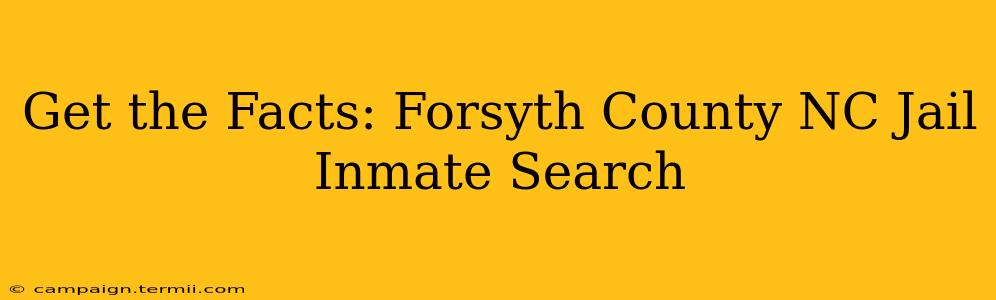 Get the Facts: Forsyth County NC Jail Inmate Search