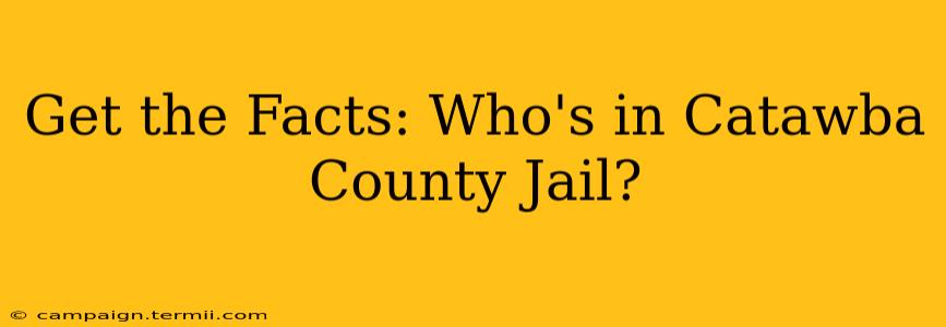 Get the Facts: Who's in Catawba County Jail?