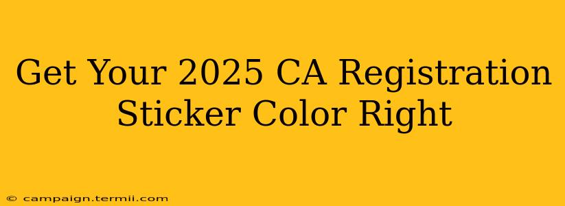 Get Your 2025 CA Registration Sticker Color Right