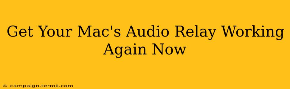 Get Your Mac's Audio Relay Working Again Now