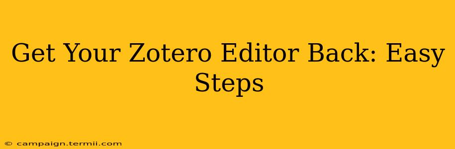 Get Your Zotero Editor Back: Easy Steps