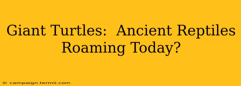 Giant Turtles:  Ancient Reptiles Roaming Today?