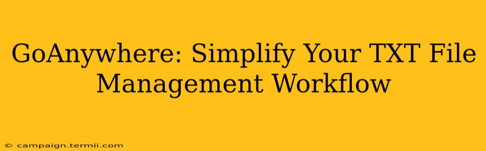 GoAnywhere: Simplify Your TXT File Management Workflow