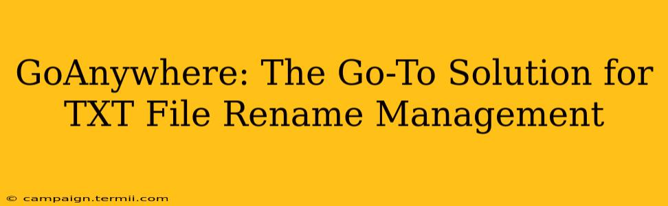 GoAnywhere: The Go-To Solution for TXT File Rename Management