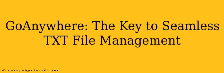 GoAnywhere: The Key to Seamless TXT File Management