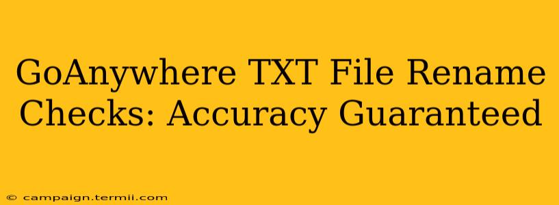 GoAnywhere TXT File Rename Checks: Accuracy Guaranteed