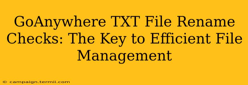 GoAnywhere TXT File Rename Checks: The Key to Efficient File Management