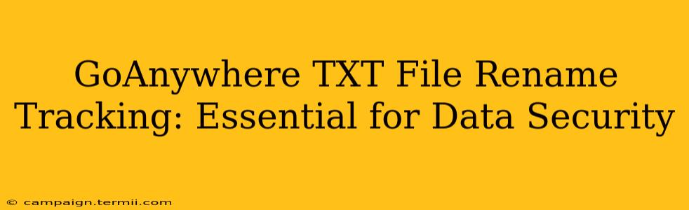 GoAnywhere TXT File Rename Tracking: Essential for Data Security