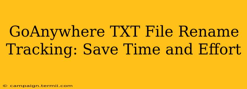 GoAnywhere TXT File Rename Tracking: Save Time and Effort