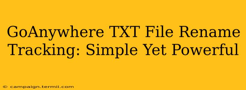 GoAnywhere TXT File Rename Tracking: Simple Yet Powerful