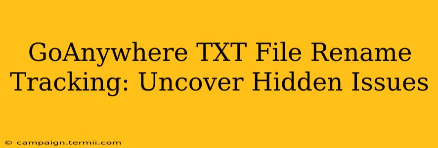 GoAnywhere TXT File Rename Tracking: Uncover Hidden Issues