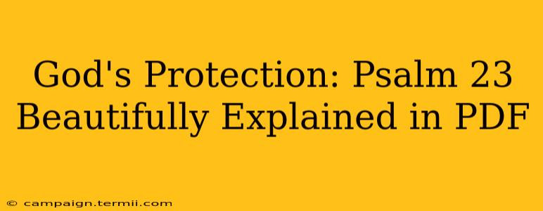 God's Protection: Psalm 23 Beautifully Explained in PDF