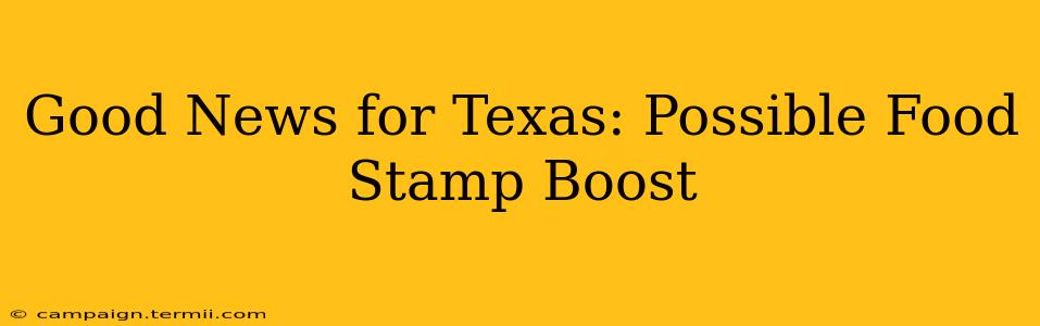 Good News for Texas: Possible Food Stamp Boost