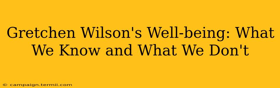 Gretchen Wilson's Well-being: What We Know and What We Don't