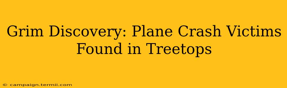 Grim Discovery: Plane Crash Victims Found in Treetops