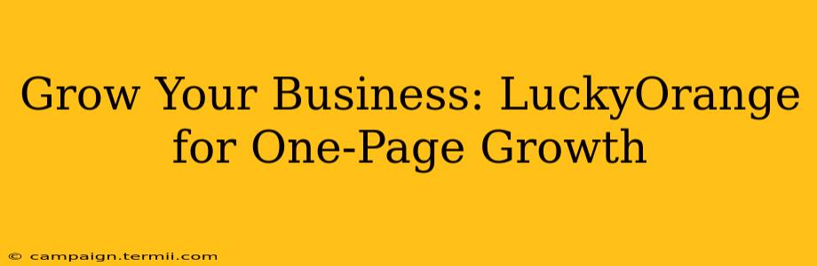 Grow Your Business: LuckyOrange for One-Page Growth