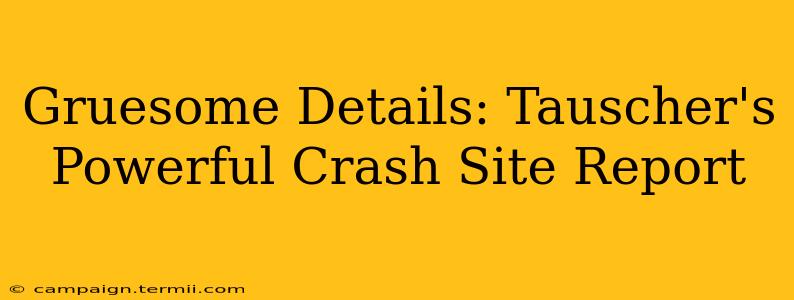 Gruesome Details: Tauscher's Powerful Crash Site Report