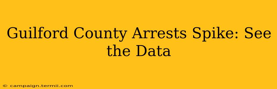 Guilford County Arrests Spike: See the Data