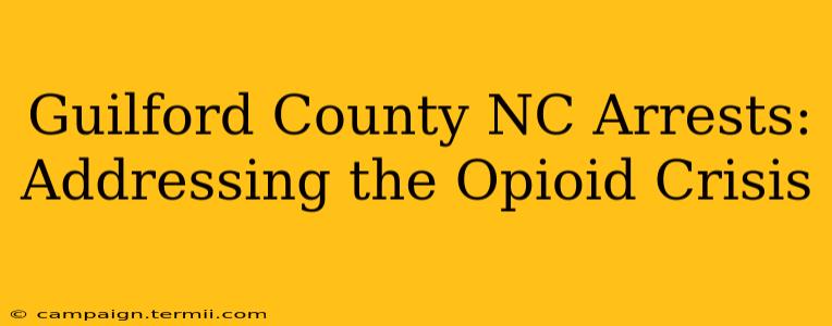 Guilford County NC Arrests: Addressing the Opioid Crisis