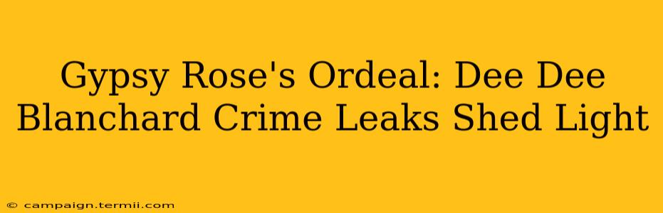 Gypsy Rose's Ordeal: Dee Dee Blanchard Crime Leaks Shed Light