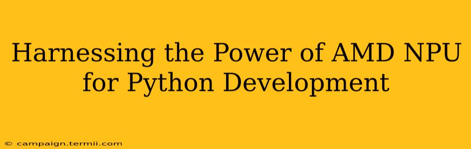 Harnessing the Power of AMD NPU for Python Development