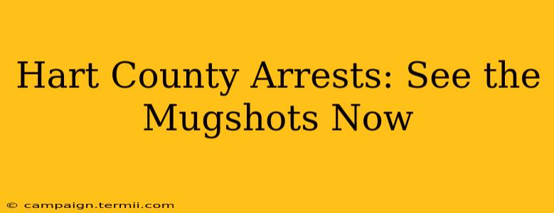 Hart County Arrests: See the Mugshots Now