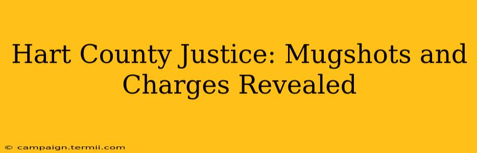 Hart County Justice: Mugshots and Charges Revealed