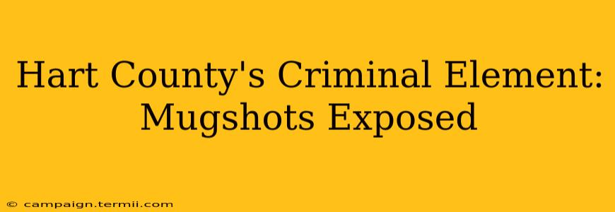 Hart County's Criminal Element: Mugshots Exposed