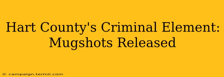 Hart County's Criminal Element: Mugshots Released