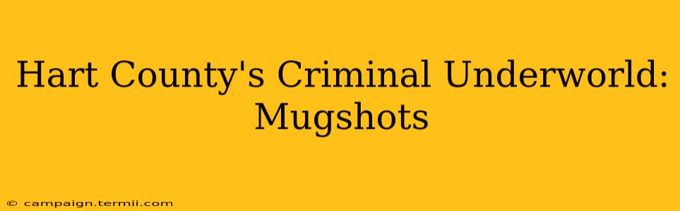 Hart County's Criminal Underworld: Mugshots