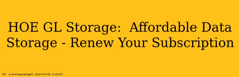 HOE GL Storage:  Affordable Data Storage - Renew Your Subscription