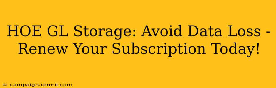 HOE GL Storage: Avoid Data Loss - Renew Your Subscription Today!