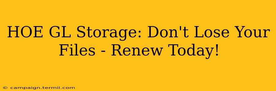 HOE GL Storage: Don't Lose Your Files - Renew Today!