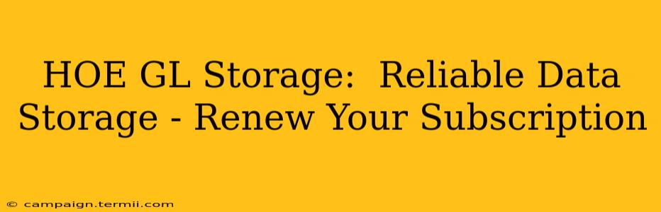 HOE GL Storage:  Reliable Data Storage - Renew Your Subscription