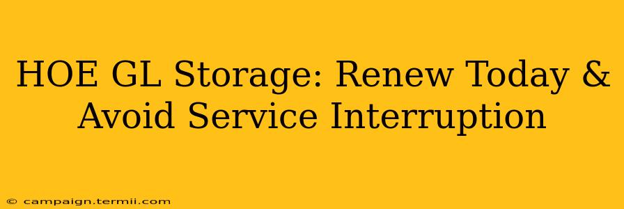 HOE GL Storage: Renew Today & Avoid Service Interruption