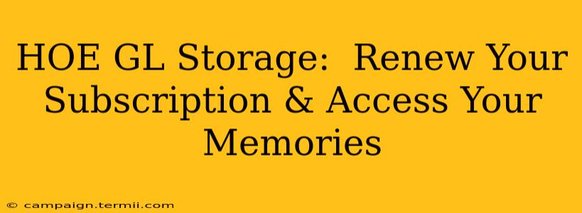 HOE GL Storage:  Renew Your Subscription & Access Your Memories